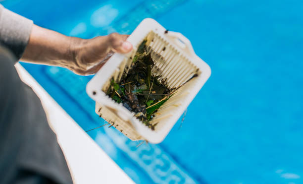 Best Estate Cleanout Services  in Three Lakes, WA